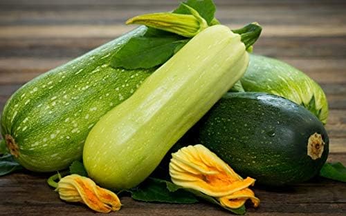 Semillas Calabacín Calabacín Calabacín Calabaza Mezcla de Verano 35 Días Rápido Heirloom Vegetal Sin OMG