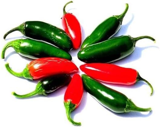 Pepper Joe’s Colección de semillas para amantes del jalapeño  Deliciosas variedades de pimiento jalapeño para plantar en tu jardín  Más de 50