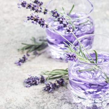Jordans Skinny Jarabes  Lavanda de arándanos sin azúcar  Sin gluten  Keto  Kosher  Fabricado en los Estados Unidos
