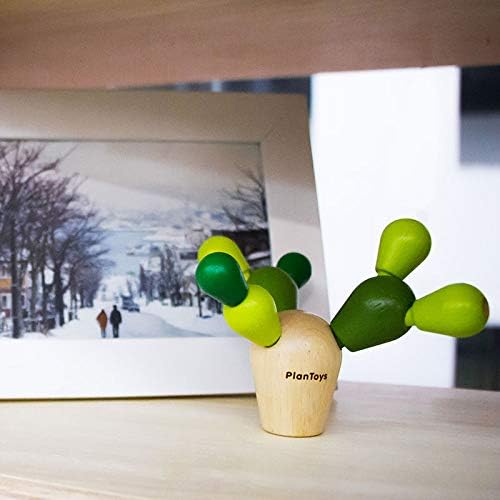 Plan Toys Planmini – Cactus de equilibrio, 1 EA