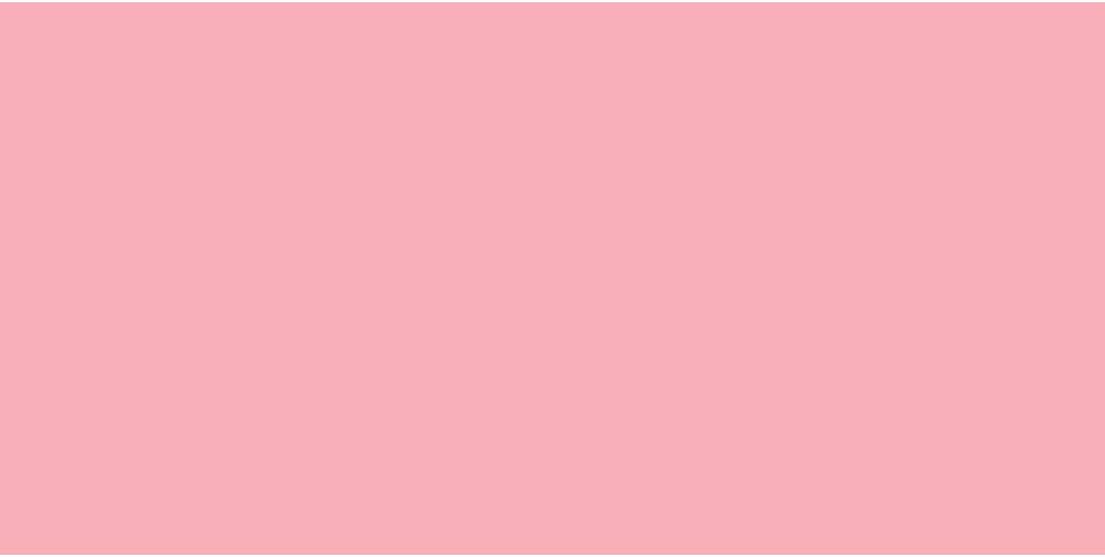 ShinHan Marcador Touch Twin – Rosa pálido RP9