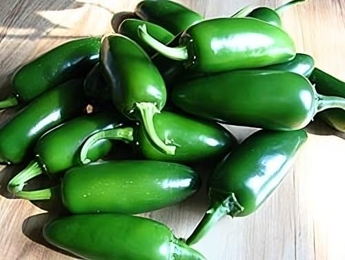 Seed Kingdom 100 Seeds – Jalapeño picante M Great Heirloom Vegetable