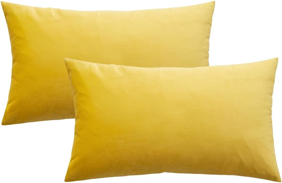 MIULEE Juego de 2 fundas de cojín cuadradas decorativas de terciopelo suave y sólido, para primavera, sofá, dormitorio, automóvil, 12 x 20 pulgadas,