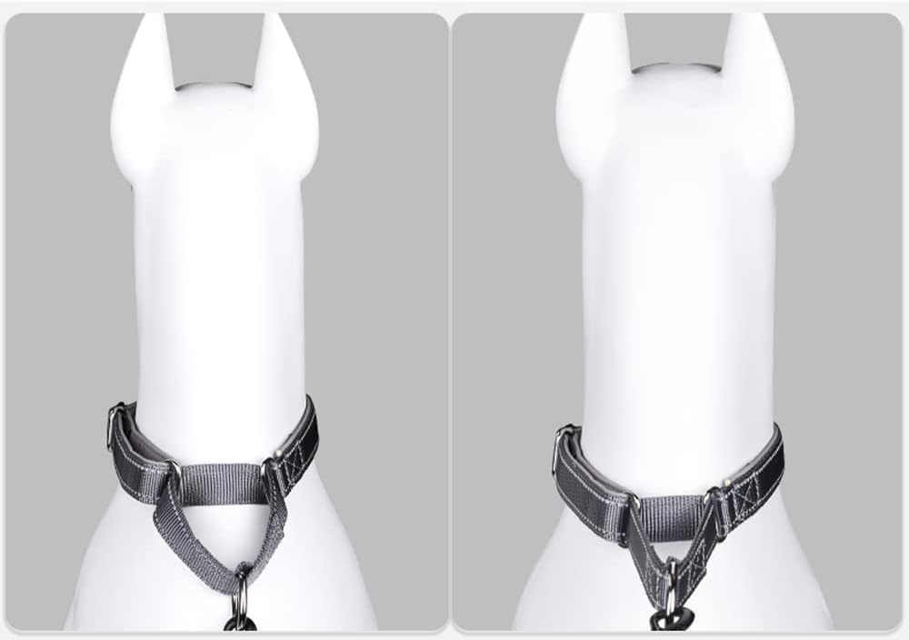 Collares ajustables para perros de entrenamiento de seguridad Martingala, de neopreno suave y acolchado, de nailon transpirable, para perros