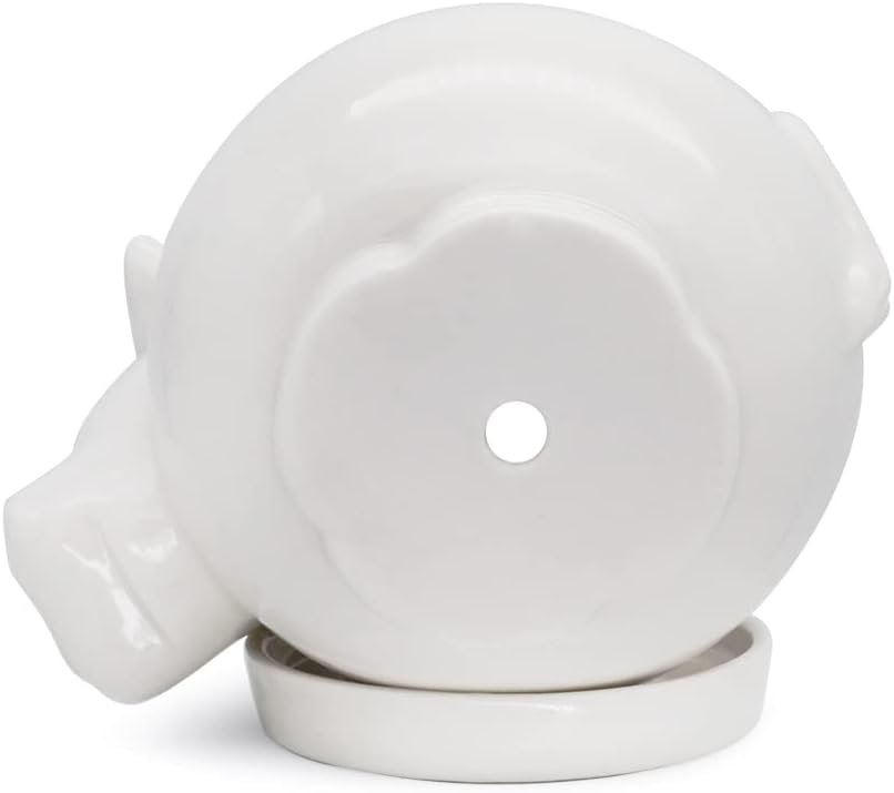 GeLive Maceta de cerámica para suculentas de vaca blanca, maceta de mesa con bandeja de drenaje para interior de vaca, soporte para lápices, soporte