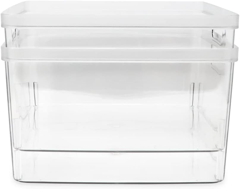 Isaac Jacobs – Paquete de 2 cubos de almacenamiento cuadrados transparentes (10 pulgadas de largo x 10 pulgadas de ancho x 6.1 pulgadas de alto) con