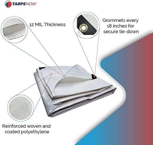 Tarps Now Lonas de polietileno impermeables, (10 x 15 pies) con ojales de aluminio para interiores y exteriores, cubierta de hoja súper resistente,