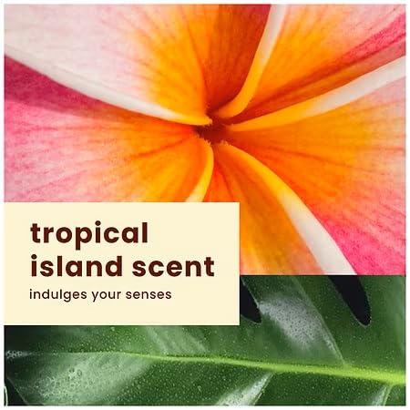 Hawaiian Tropic Loción de hidratación sin peso SPF 30 y Hawaiian Tropic Sheer Touch Protector solar facial suero facial SPF 30 paquete combinado