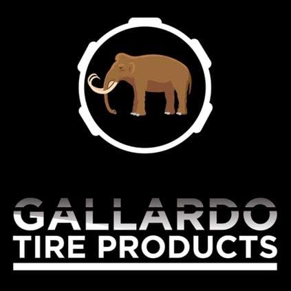 TR543D – Vástagos de válvula de camión con abrazadera de 60 grados (paquete de 10) niquelado