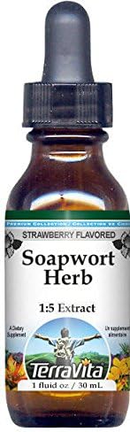 TerraVita Soapwort Hierba Glicerita Extracto Líquido (15) – Sabor Fresa (1 oz, ZIN 523038)