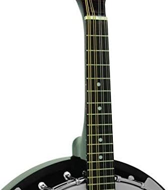 Gold Tone Banjo Mandolina