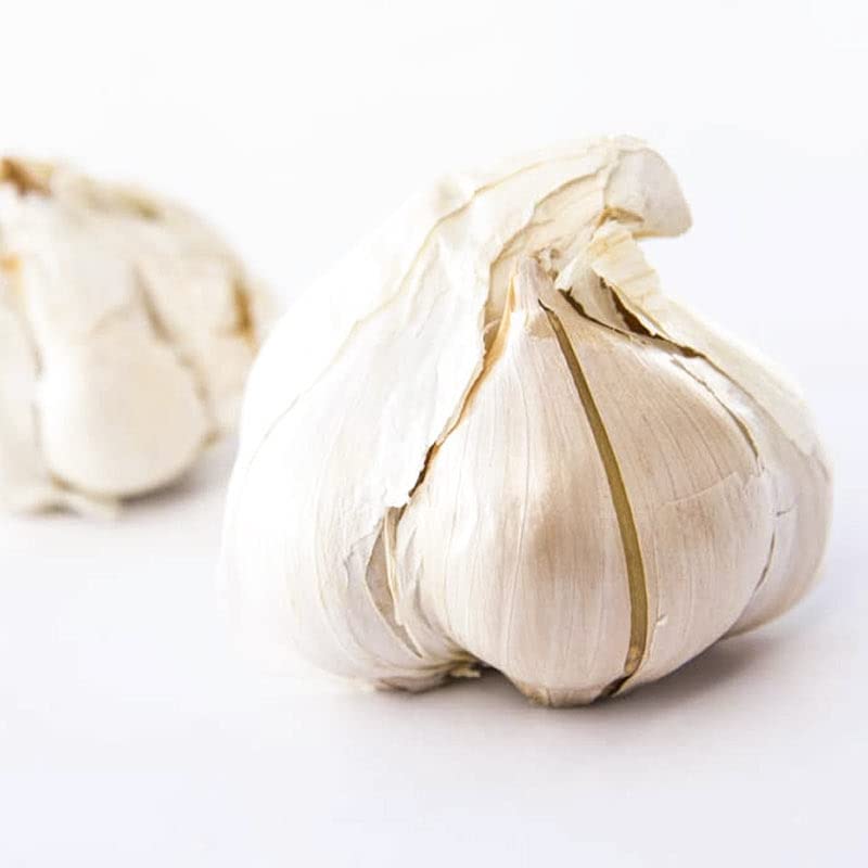 Ajo elefante. Cultivado en California. 2 bombillas enormes. Delicioso sabor más suave, más suave. Ideal para cocinar, comer y plantar. Grandes