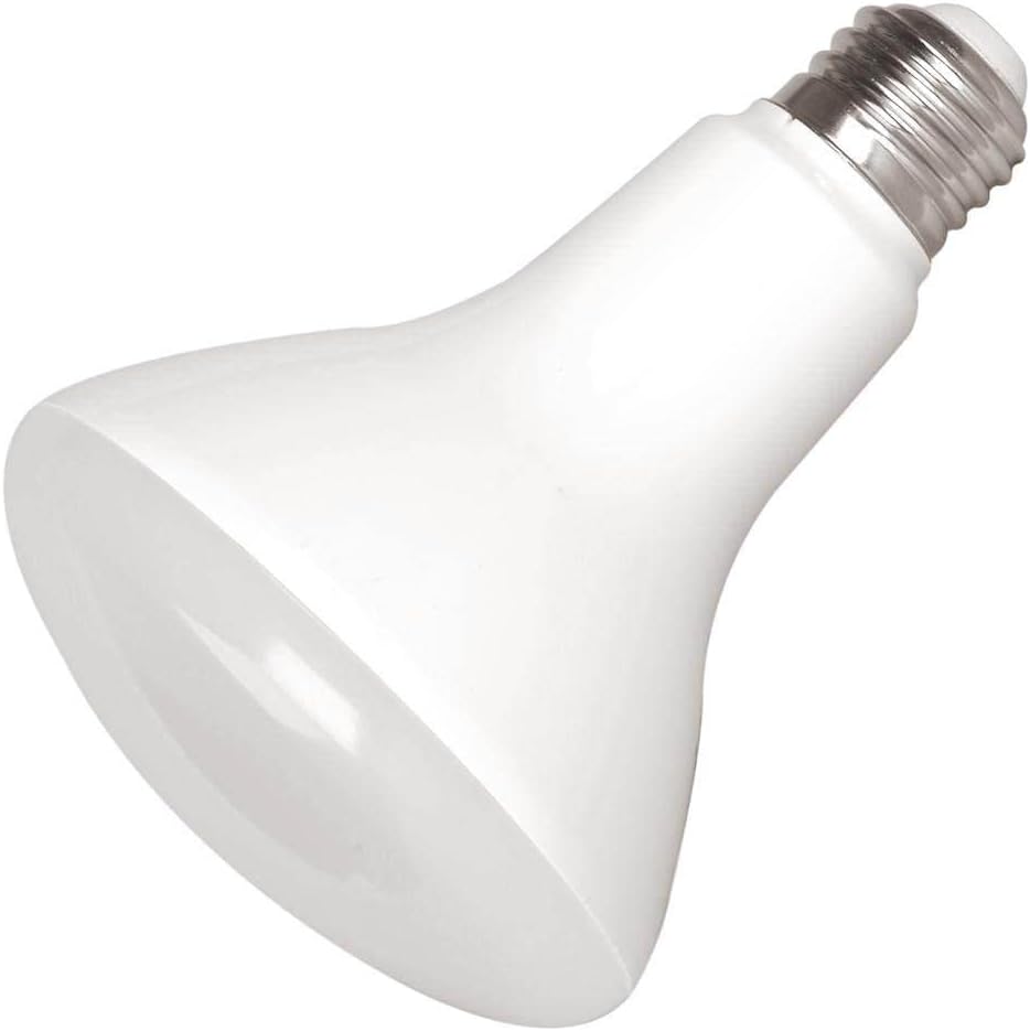Eiko 11334 – Bombilla LED de inundación LED8WBR30827-DIM-G9B BR30