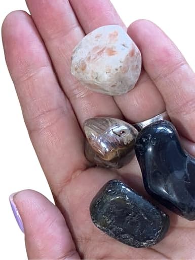 Kit de piedra del zodiaco Leo Healing Atlas! Aprovecha el poder transformador de las piedras, ónix negro, labradorita y madera petrificada. Aumenta