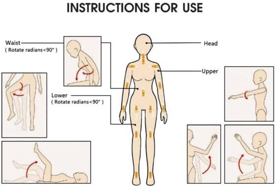 Muñecas sexuales realistas con pechos de copa C, muñecas sexuales para adultos para placer masculino, torso femenino muñeca sexual para hombre, amor