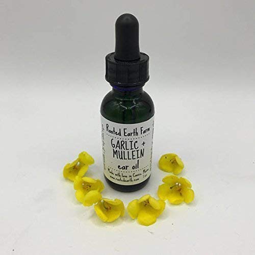 Garlic and Mullein Ear Oil, 1 fluid ounce, For Ear Issues Rooted Earth Farm