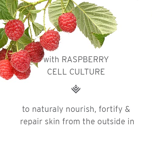 Kerstin Florian Suero reparador BerryPlus Clarifying BerryPlus, suero facial protector antienvejecimiento para todo tipo de piel, suero reparador