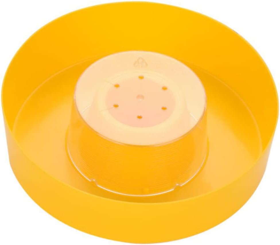 Toddmomy Alimentador de agua de abeja, comedero de abeja, colmena de abejas, alimentador de abeja, plato de alimentos para abejas, alimentador