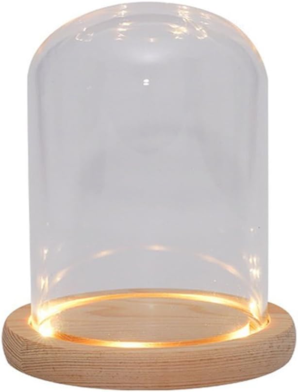 Nynelly Cúpula de cristal transparente de 3.5 pulgadas de profundidad x 4.7 pulgadas de alto con base de luces LED de madera natural, adorno de