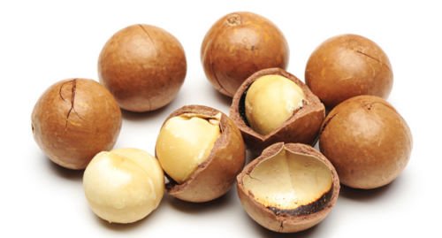 Nueces de macadamia – En cáscara (entera) Tamaño mediano (1 LB)