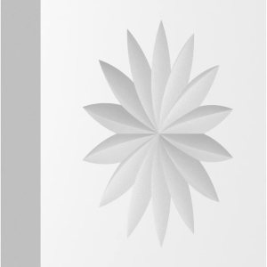 Ekena Millwork ROSP030X030X050SDG09 Rosetón de flores estándar con borde cuadrado, 3 pulgadas de ancho x 3 pulgadas de alto x 12 pulgadas de P Ekena Millwork ROSP030X030X050SDG09 Rosetón de flores estándar con borde cuadrado, 3 pulgadas de ancho x 3 pulgadas de alto x 12 pulgadas de P