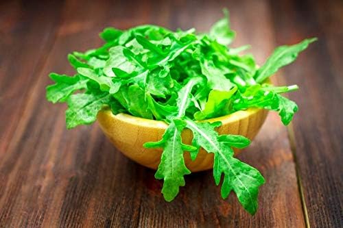 Ensalada de rúcula Rocket Rucola más de 1000 semillas para plantar
