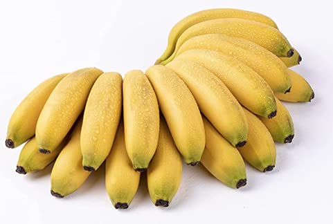 Plátanos de manzana, plátanos de manzana fresca, plátano Manzano 2.5 LBS