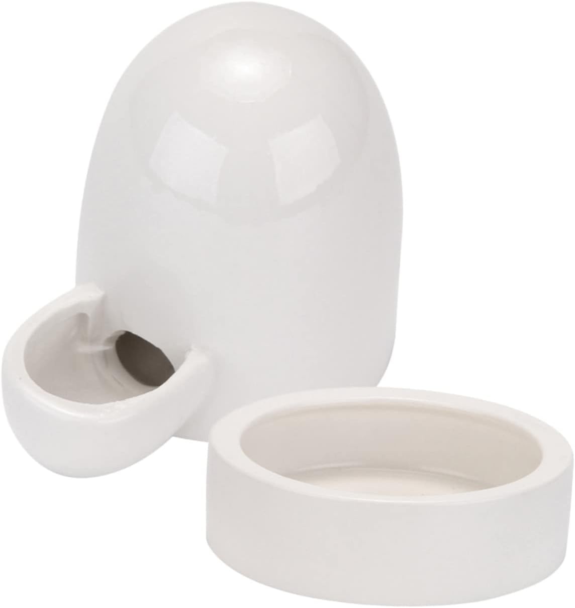 BESTOYARD 2 Sets Rutin Bebedor de Pollo Bebedor de aves de corral Bebedero de aves de corral Bebedero de agua para perros Lagarto Alimentador de