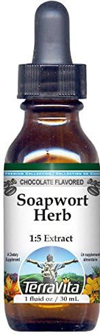 TerraVita Soapwort Hierba Glicerita Extracto Líquido (15) – Sabor Chocolate (1 oz, ZIN 523040)