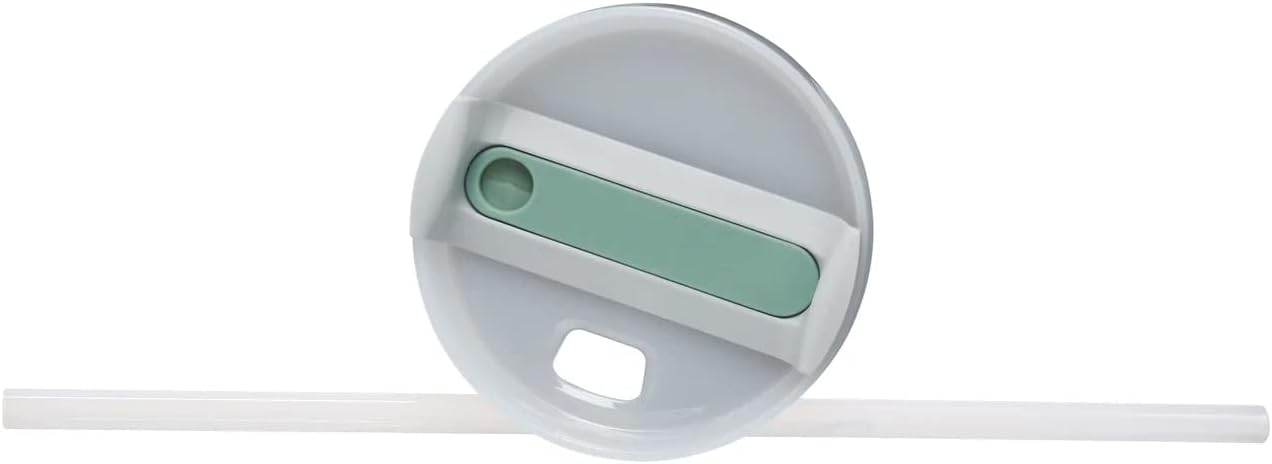 Thirst Quench 2.0 – Vaso de acero inoxidable con aislamiento al vacío de 30 onzas con tapa resistente a fugas y popote (Eucalyptus)
