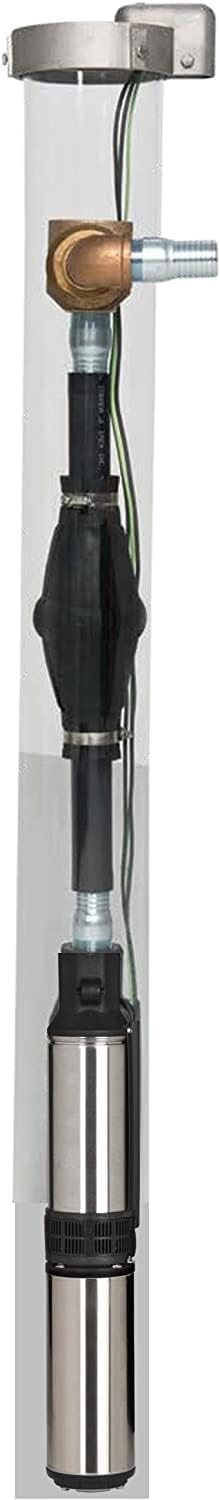 Red Lion RL12G07-2W2V Bomba sumergible de pozo profundo de 4 pulgadas, 34 HP, 12 GPM 2 cables, 230 voltios, acero, 14942403