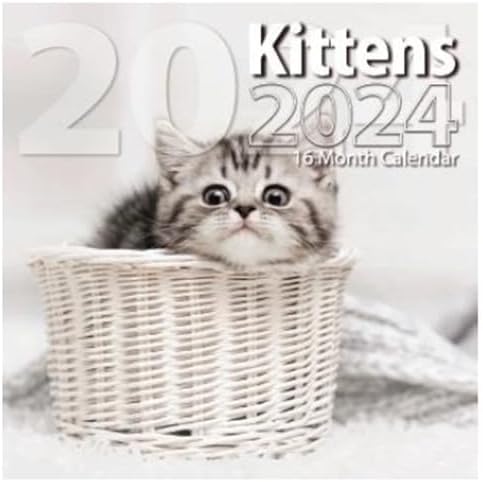 Calendario de pared de tamaño completo para gatitos 2024 para planificar, programar y organizar