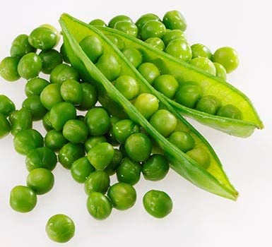 Perfection Semillas de guisantes de jardín de semillas oscuras para plantar, más de 50 semillas tradicionales por paquete, semillas de jardín de