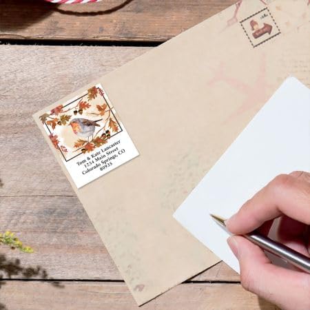 Friendly Robin – Etiquetas de dirección personalizadas de lujo, juego de 144 (4 diseños), autoadhesivas, etiquetas grandes de selección de hojas