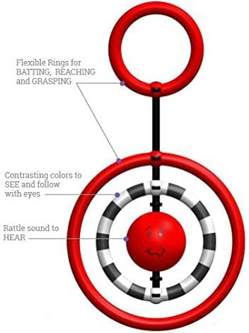 SmartNoggin Juego de hitos de desarrollo del bebé sonajero iluminado y anillos NogginStik para alcanzar y agarrar anillos