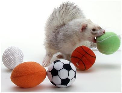 Marshall Ferret – Pelotas deportivas (paquete de 2 variadas)