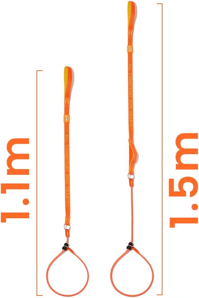 HOWGO Correa antideslizante para perro, correa de entrenamiento, correa y collar antideslizantes sin tirones, resistente y duradera, mango