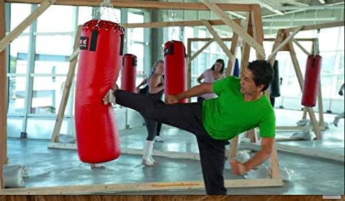 MAE – Juego de DVD del programa de entrenamiento en casa de alta intensidad, combina boxeo, kickboxing, agilidad, velocidad de perforación,
