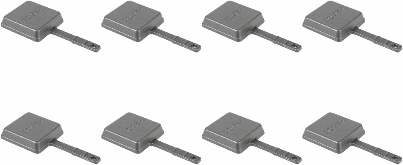 HOWOK – Juego de 8 sartenes para parrilla de raclette de forma cuadrada, sartenes para derretir queso para barbacoa, mini sartenes para queso,