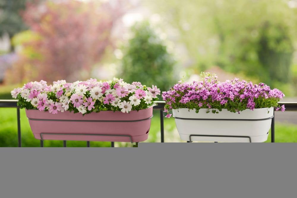 elho Vibia Campana Trough Allin1 50 – Macetero para balcón – Ø 50,4 x H 7.0 in – Rosa polvoriento