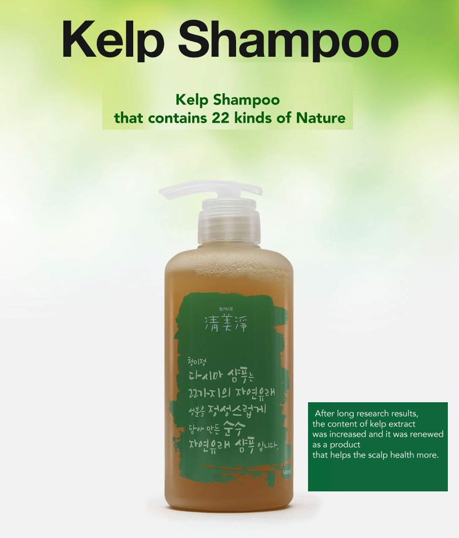ChungMiJung Kelp Champú para cuero cabelludo pequeño para la caspa, 16.9 fl oz, orgánico 18 ingredientes de la naturaleza para pieles sensibles,