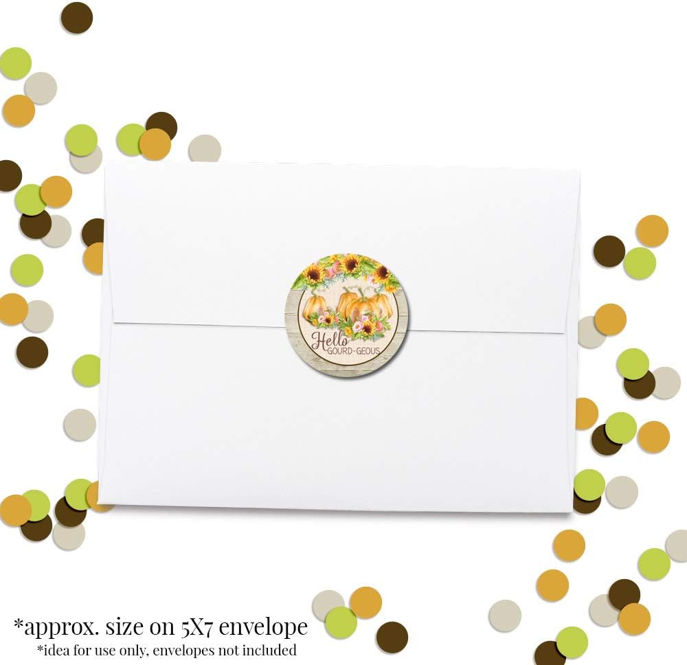 AmandaCreation – Calcomanías de agradecimiento al cliente con diseño de calabaza de otoño y otoño con texto en inglés “Hello Gourd-geous para