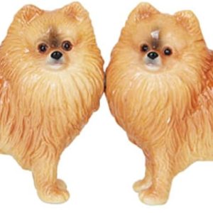 Pacific Giftware Pomeranian Dog – Juego de salero y pimentero magnético Pacific Giftware Pomeranian Dog – Juego de salero y pimentero magnético