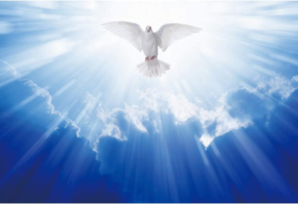 OERJU 10x8ft Jesucristo Luz Santa irradia fotografía Fondo Dios bendición Paloma blanca cielo azul cielo mensajero creencia paraíso religioso foto