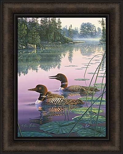 ‘Northern Splendor’ por Kim Norlien – Cuadro enmarcado de 16 x 20 Loons Pair Baby Lake Swimming Birds