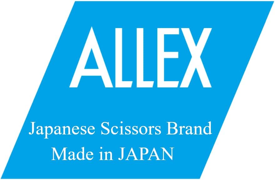 ALLEX – Mini rascador de 1 pulgada (cincel), raspador de pintura japonés para pintura, limpieza de cocina, plancha, placa de cocina, sartén de