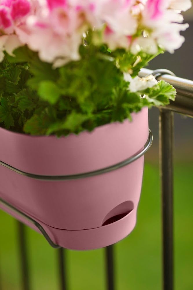 elho Vibia Campana Trough Allin1 50 – Macetero para balcón – Ø 50,4 x H 7.0 in – Rosa polvoriento