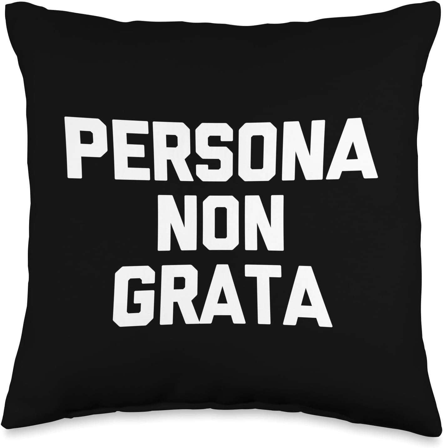 Funny Gifts & Funny Designs Persona Non Grata-Funny Saying Sarcastic Cute Cool Novelty Throw Pillow, 16×16, Multicolor