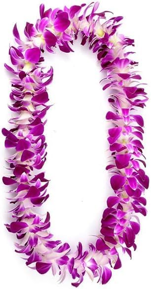 Miami Fresh Orchid Flower OrchidClub USA Sunne Tropical Loose Bloom DIY Lei, decoración de alimentos y bebidas (50 morado)