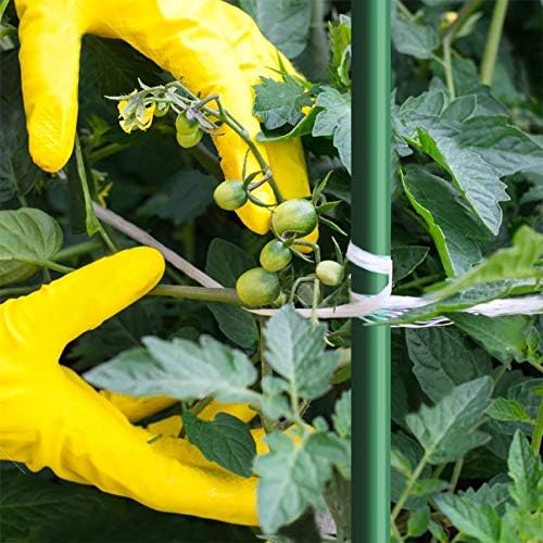 Estacas de jardín de 5 pies para plantas trepadoras, soporte para poste, paquete de 10 palos de plantas inoxidables para postes de valla
